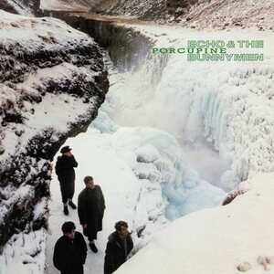 Echo & The Bunnymen – Porcupine CD