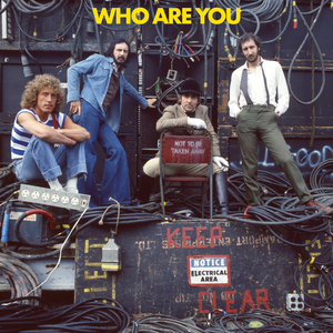Who – Who Are You LP