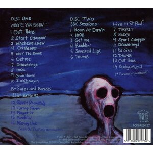 Dinosaur Jr. – Where You Been 2CD (Expanded & Remastered)