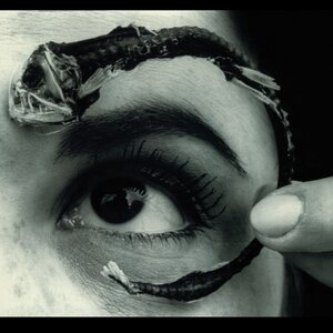 Mr. Bungle – Disco Volante 2LP (Translucent Light Blue Vinyl) (Rocktober 2025)