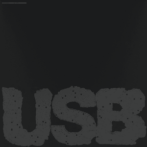 Fred Again... – USB002 2LP