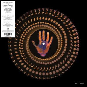 George Harrison – Living In The Material World LP Zoetrope Vinyl