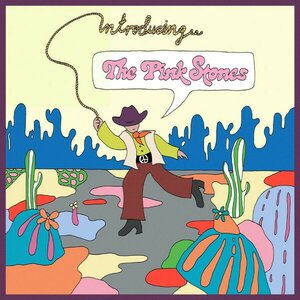 Pink Stones ‎– Introducing...The Pink Stones CD