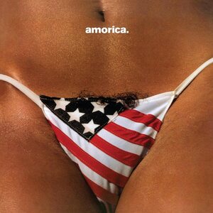 Black Crowes – Amorica
