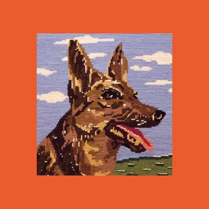 Ransukoira – Good Simulation LP