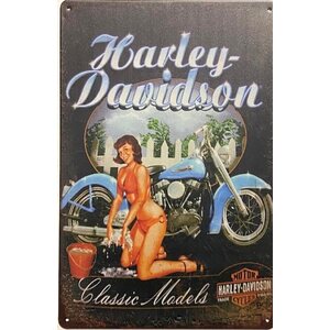 Harley Davidson Peltitaulu