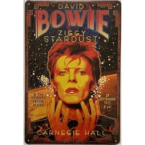 David Bowie Peltitaulu