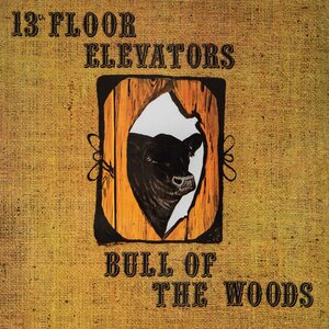 13th Floor Elevators – Bull Of The Woods LP