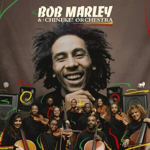 Bob Marley & The Chineke! Orchestra 2CD