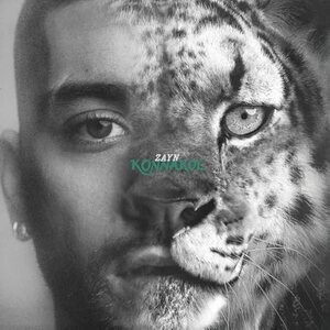 Zayn – Konnakol