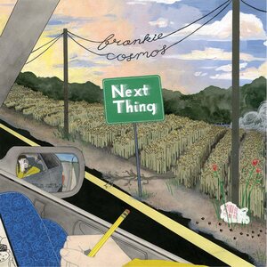 Frankie Cosmos – Next Thing (10th Anniversary Edition) LP (Fools Gold Vinyl)
