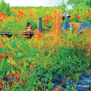 Jhene Aiko – Trip 2LP Picture Disc