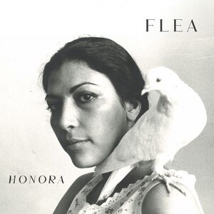 Flea (Red Hot Chili Peppers) – Honora