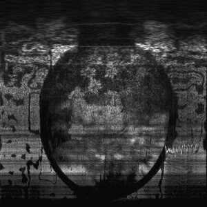 Orpokotijuhlat Saarella – Profetta heidän seassansa on LP