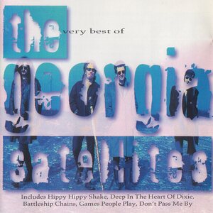 The Georgia Satellites – Very Best Of CD