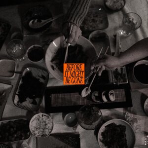 Vices – Before It Might Be Gone 10" Coloured Vinyl