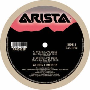 Alison Limerick ‎– Where Love Lives 12"