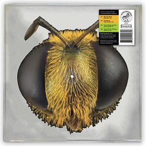 King Gizzard & The Lizard Wizard – Big Fig Wasp 12" (Bee/Bug Shaped Vinyl)