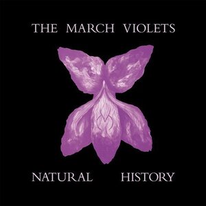 March Violets – Natural History LP (Violet Vinyl)