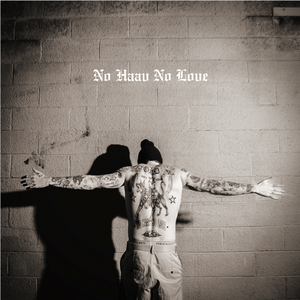 Lauri Haav – No Haav No Love 2LP