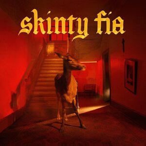 Fontaines D.C. – Skinty Fia CD