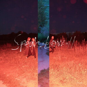 Lucia Cadotsch – Speak Low II LP