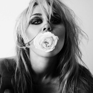 Miley – Bass Persuades