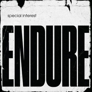 Special Interest – Endure LP (Yellow Vinyl)