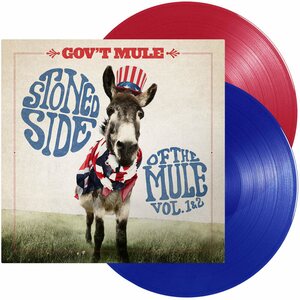 Gov't Mule – Stoned Side Of The Mule 2LP Coloured Vinyl