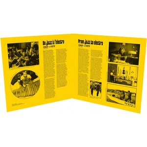 Francois de Roubaix – Du Jazz à L'Electro 1965-1975 LP Coloured Vinyl