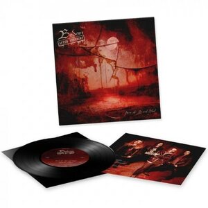 Bodom After Midnight ‎– Paint the Sky with Blood 10"