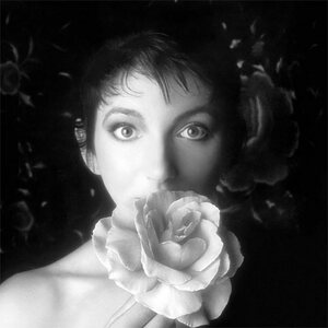 Kate Bush ‎– Remastered In Vinyl II 4LP Box Set