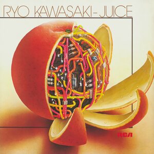 Ryo Kawasaki – Juice CD