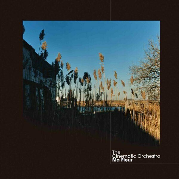 Cinematic Orchestra ‎– Ma Fleur 2LP Coloured Vinyl