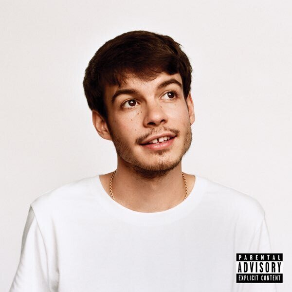 Rex Orange County – Pony LP