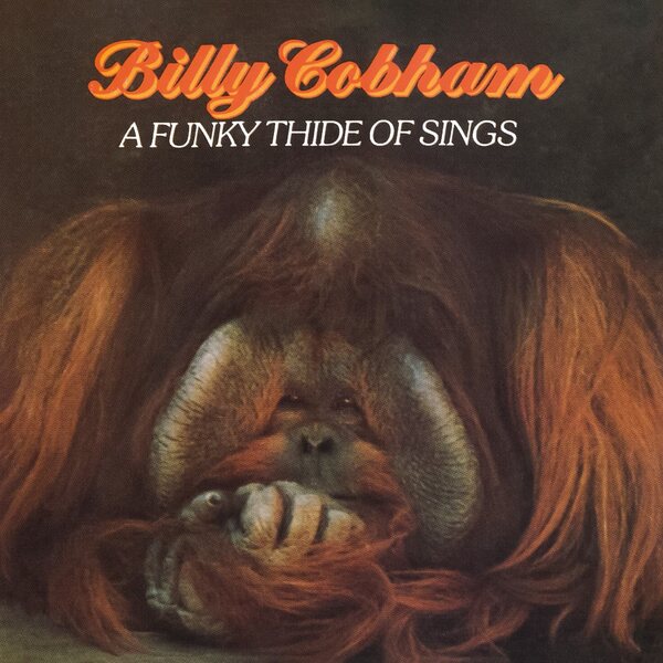 Billy Cobham ‎– A Funky Thide Of Sings CD