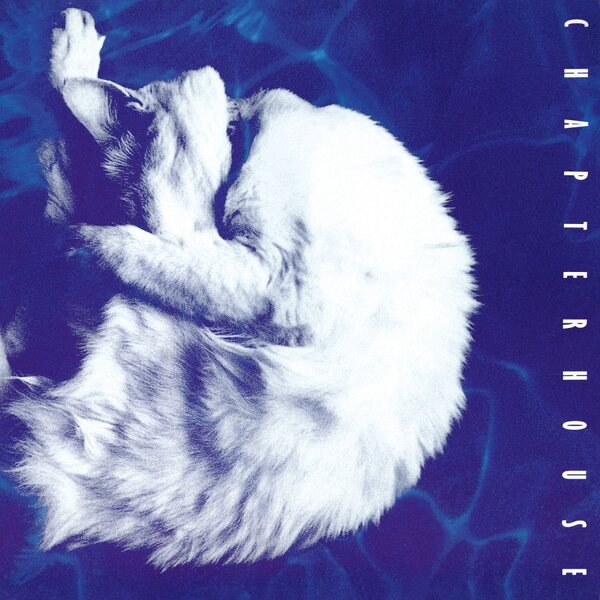 Chapterhouse – Whirlpool LP Coloured Vinyl