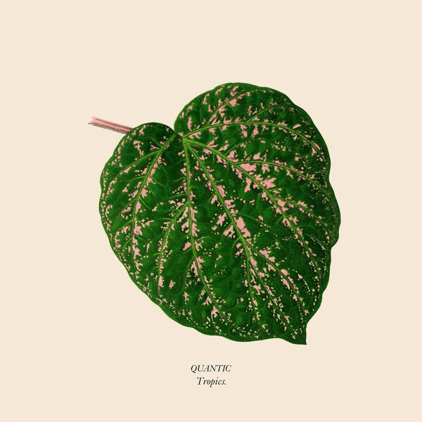 Quantic – Tropics EP 12" Coloured Vinyl